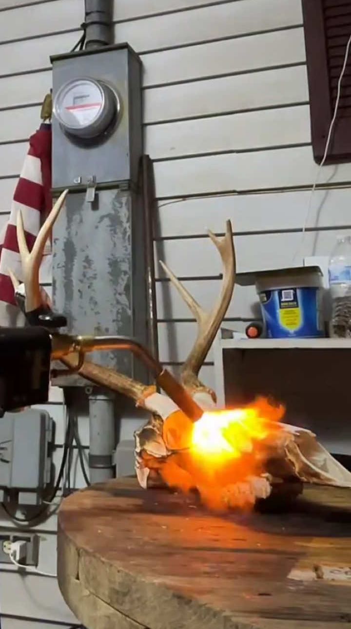 Torch finishing work on a deer skull